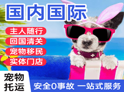 嫩江墨尔根机场托运国际宠物托运 【国